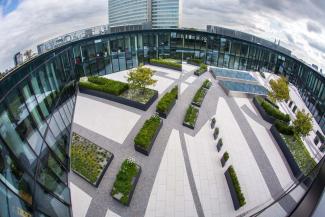 Paving stones continue the linear shape